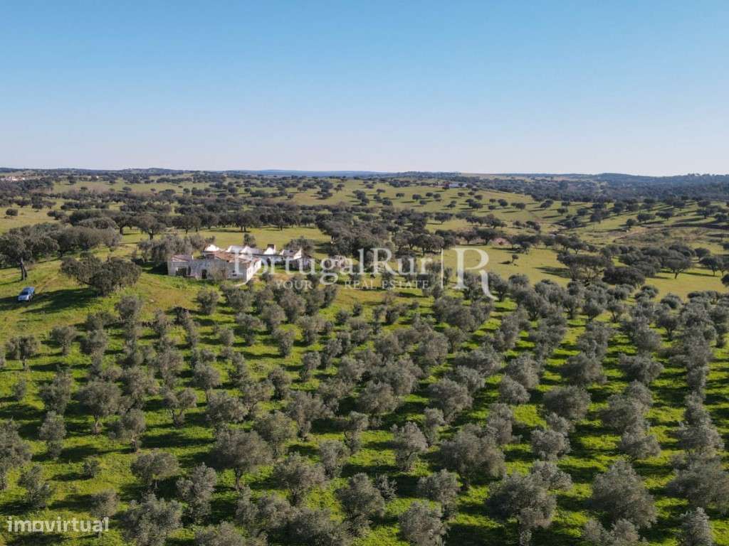 Herdade de 18 hectares perto de Estremoz-20