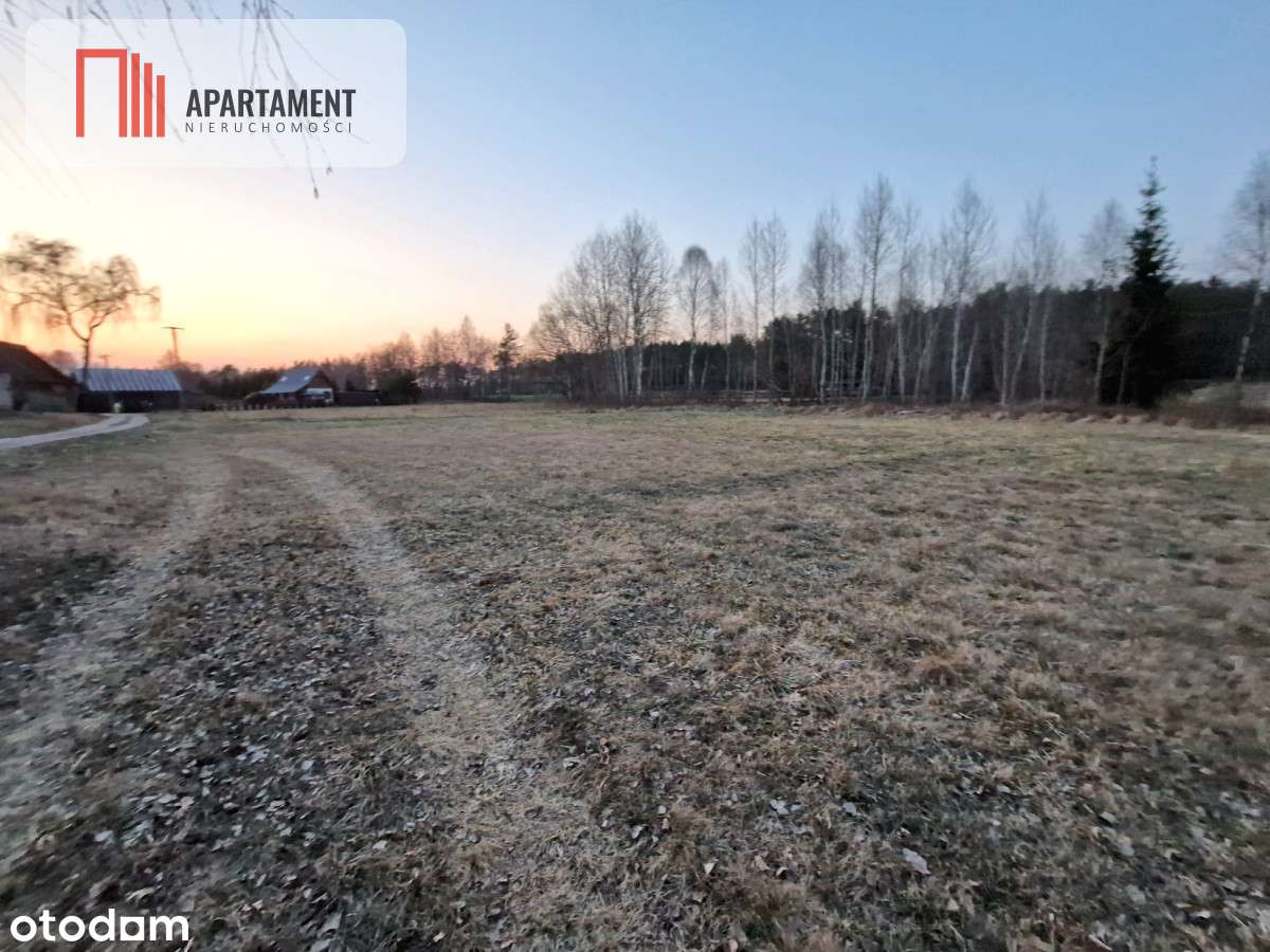 Spokojna okolica, blisko lasu! - Pełny obrazek: 2/6