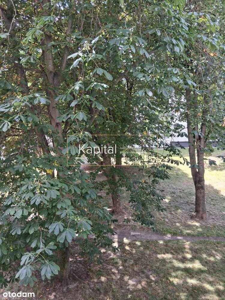 Biskupin osobna kuchnia. - Pełny obrazek: 4/11