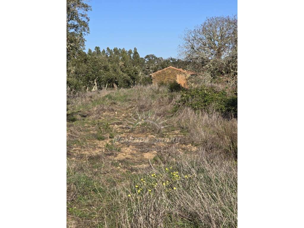 Quinta em Relíquias - Odemira-8