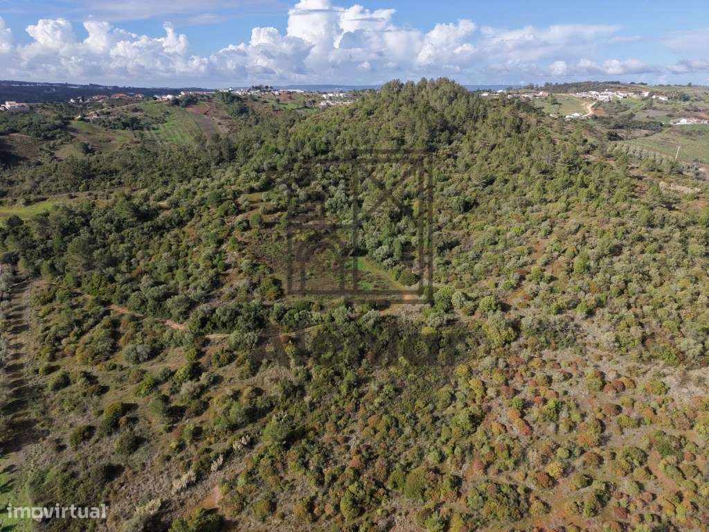 Oportunidade Única de Investimento Agrícola em Alenquer-21