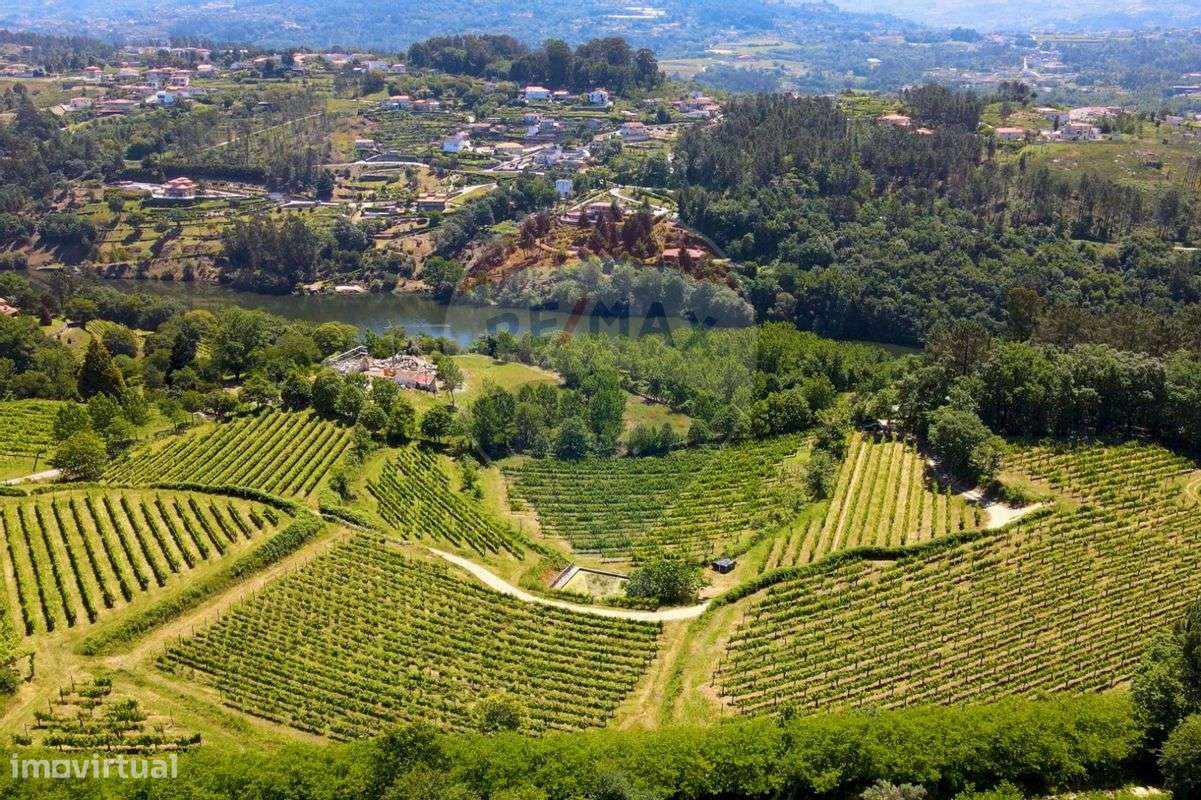 Quinta T6 para venda - Grande imagem: 5/31