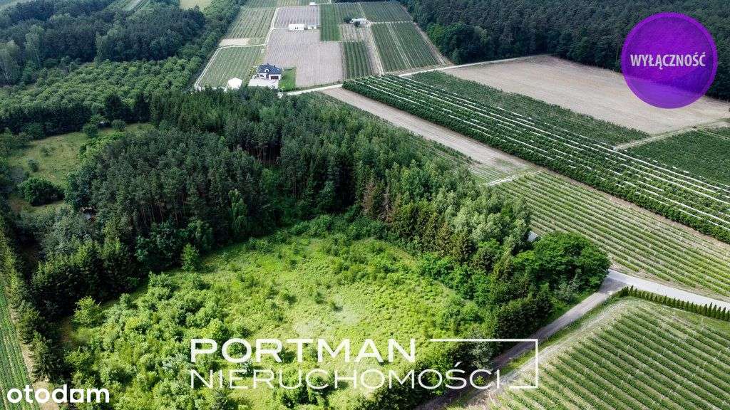 Działka budowlana 1100m2, Sprzedaż, Mpzp - Pełny obrazek: 4/11