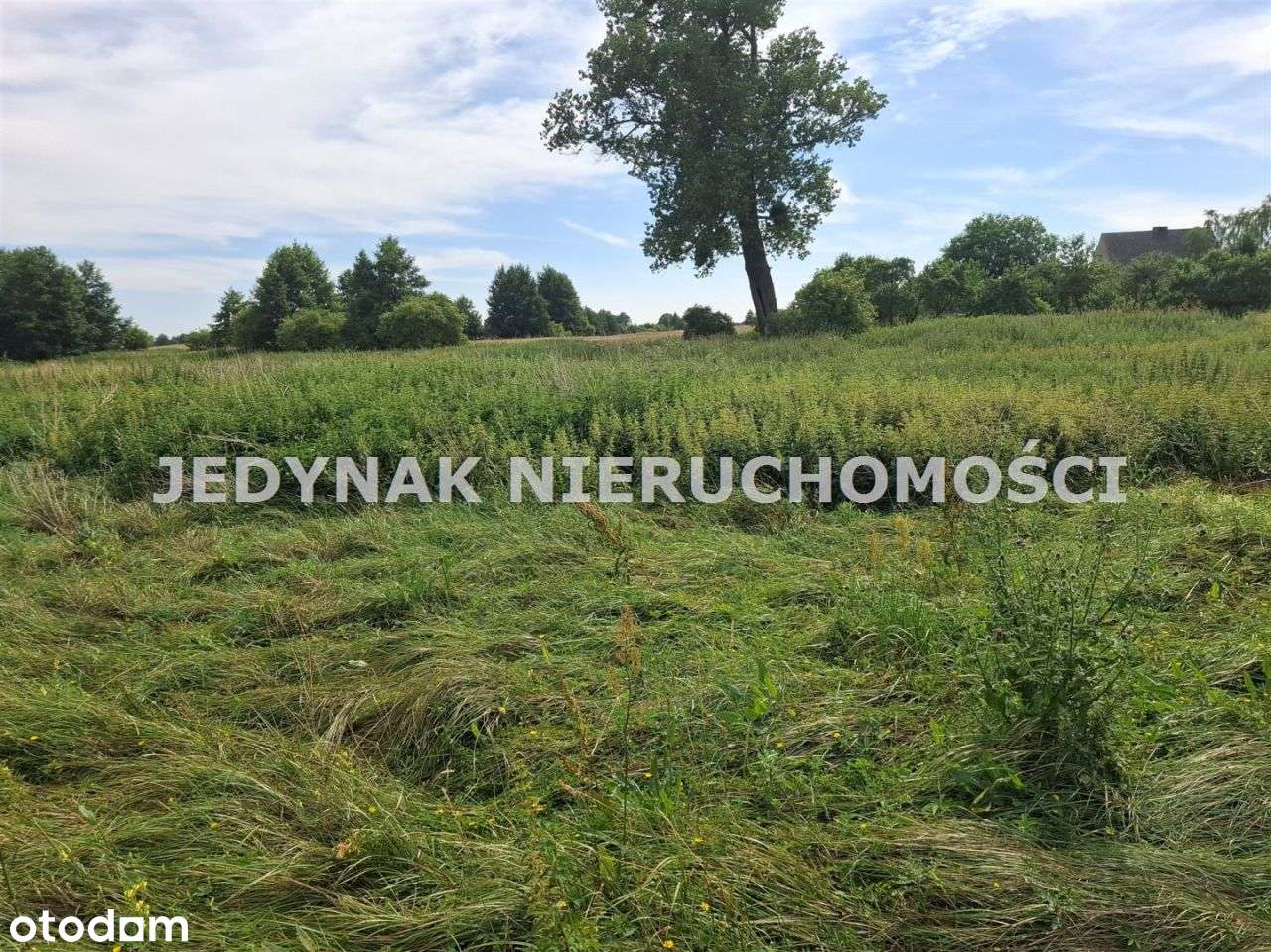 Działka, 1 011 m², Małe Rudy - Pełny obrazek: 4/6