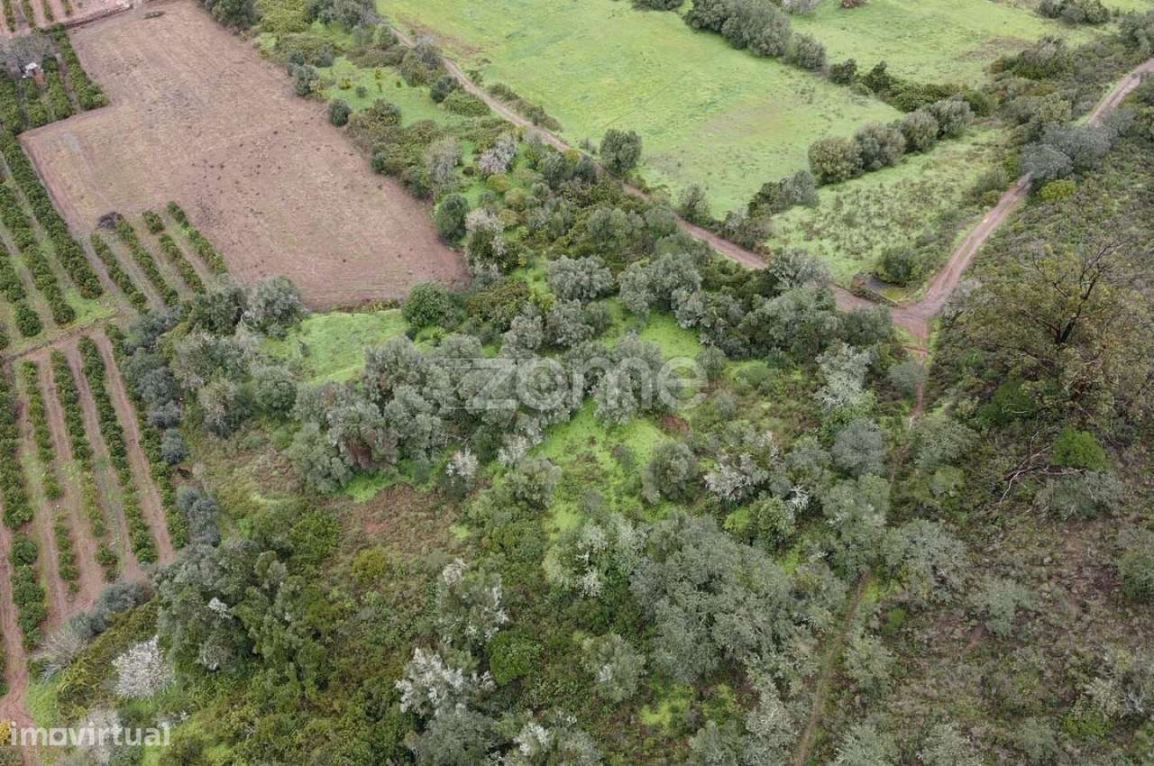 Terreno Rústico com 2.600m2 em Ladeira da Cumeada, Messines - Grande imagem: 3/16