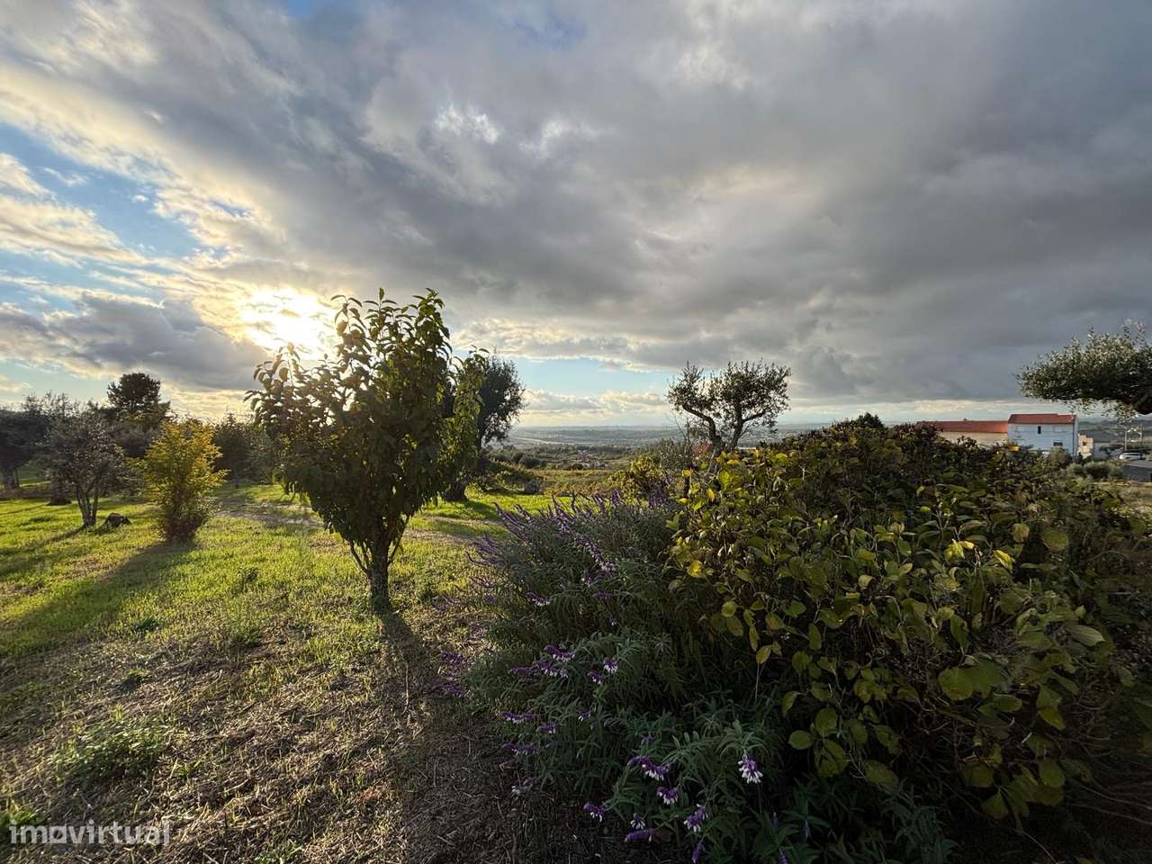 Quinta T3 Venda em Santa Marinha e São Martinho,Seia-12