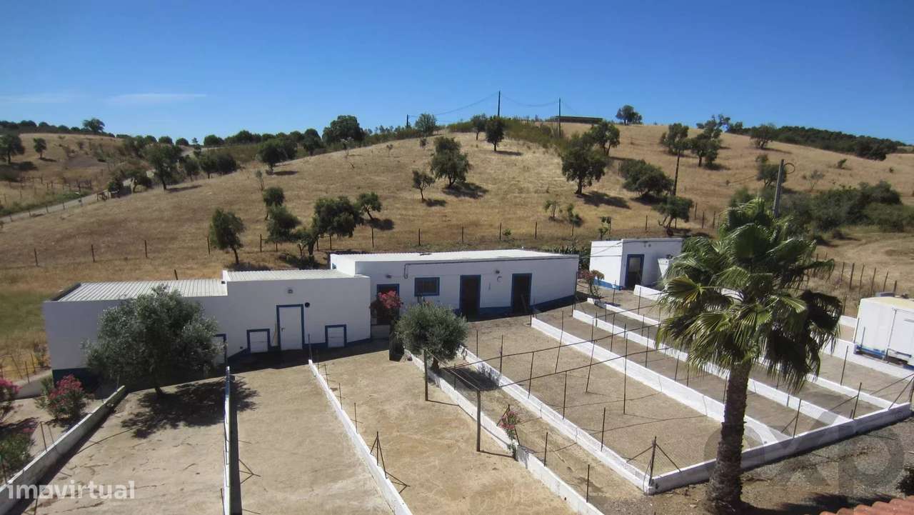 Herdade Cativante no Alentejo: Um Investimento Turístico com Potencial - Grande imagem: 5/60