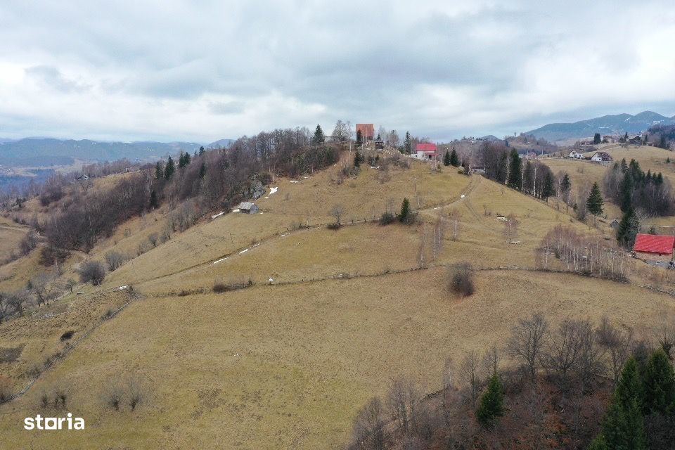 Teren la munte sat Pestera Moieciu - Imagine principală: 6/6