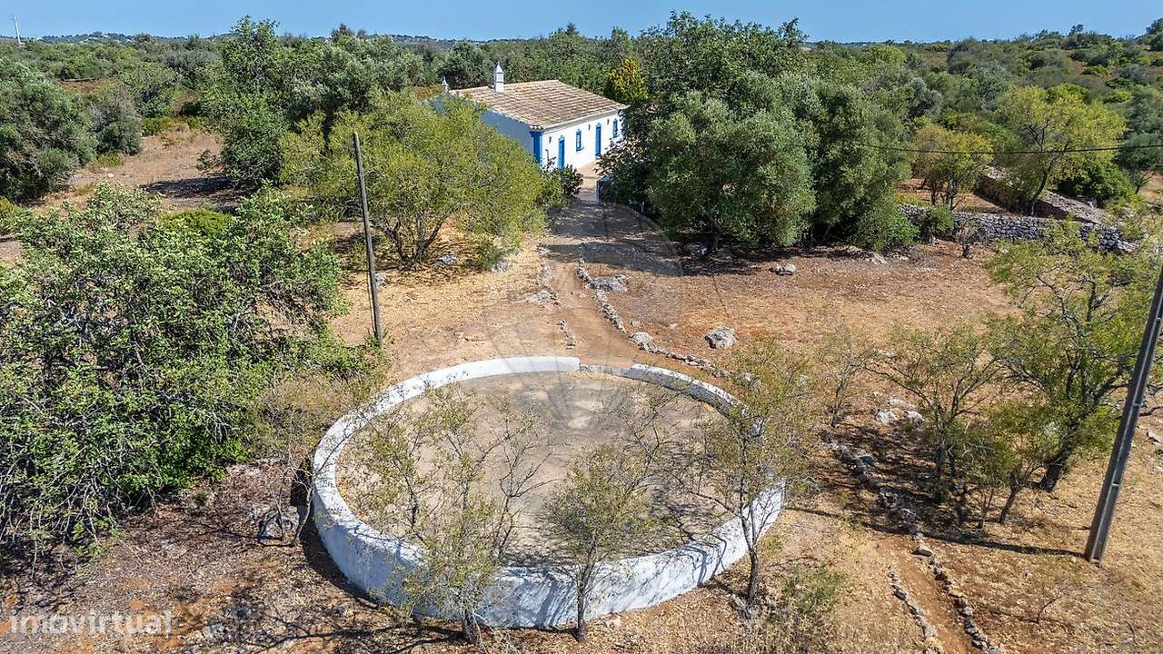 Quinta T5 para venda - Grande imagem: 5/46