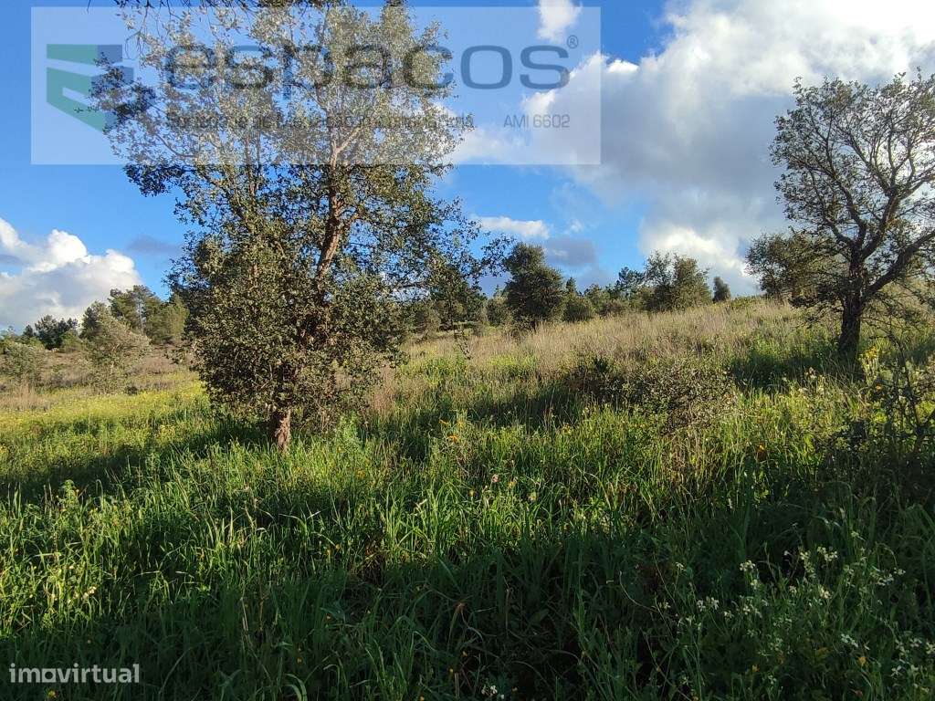 Quinta com um poço. - Grande imagem: 5/16