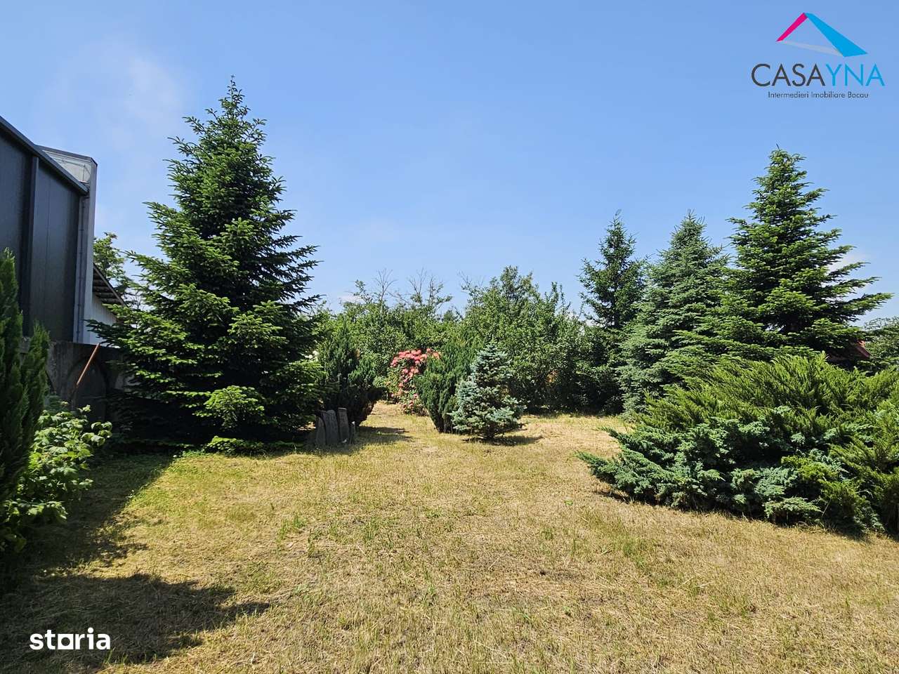 Vila S+P+1 - 450 mp, teren 1700 mp , curte imprejmuita, Bogdan Voda - Imagine principală: 4/4