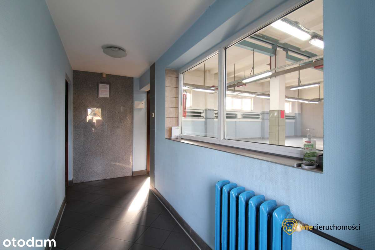 Hala produkcyjno-magazynowa/Warsztat/Biuro/Parking - Pełny obrazek: 4/12