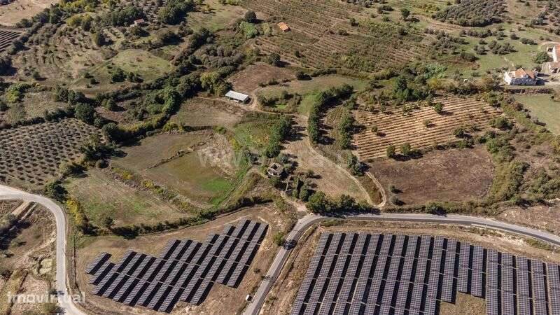 Herdade T6 / Covilhã, Boidobra-4