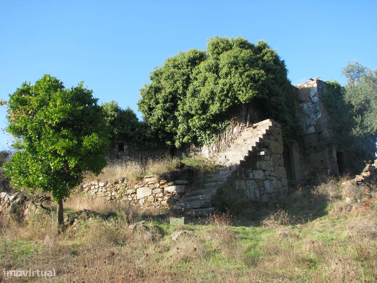 Quinta com casa em ruínas-7