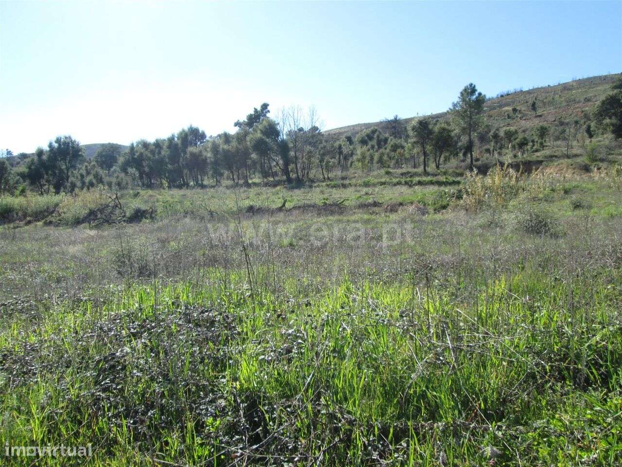 Terreno / Fundão, Telhado - Grande imagem: 4/6