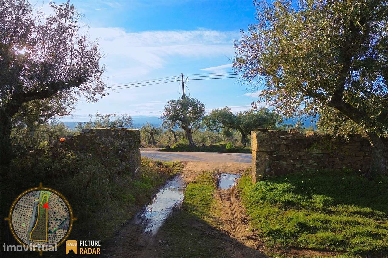 Terreno Plano 6.700m² c/ Vistas Panorâmicas – Salgueiro do Campo-18