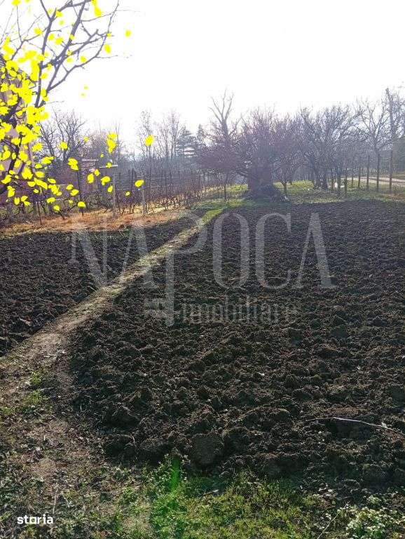 Teren intravilan pentru constructii de vanzare in Podgoria Oradea, Or - Imagine principală: 4/4