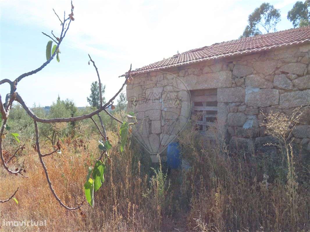 Quinta  para venda - Grande imagem: 2/25