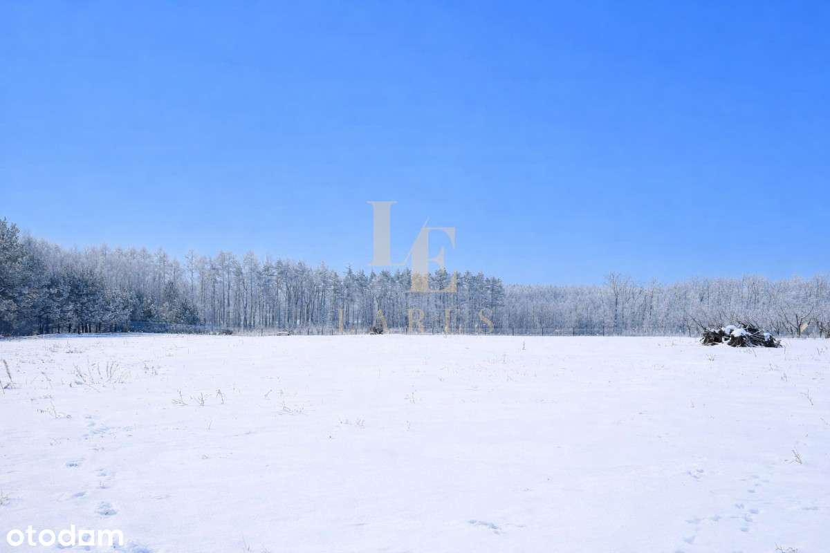 Działka 6 800 m² z Mpzp | Jeżewice k. Tarczyna-5