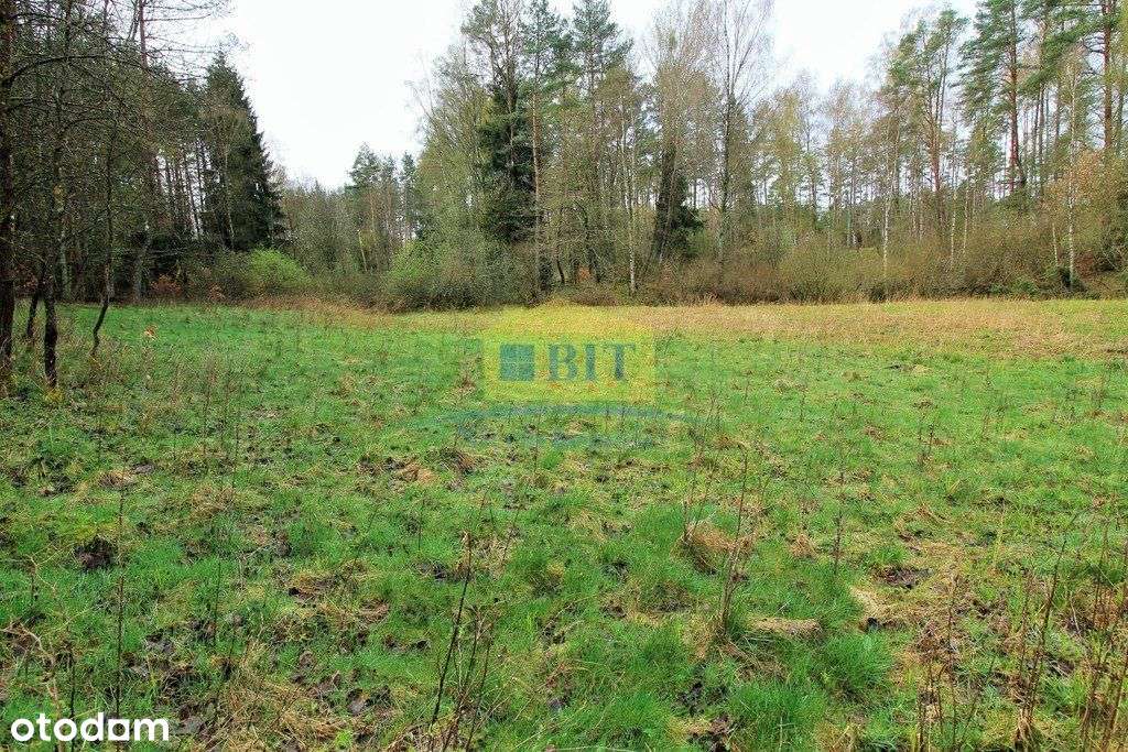 Działka zalesiona 4,84 ha, Polne gm. Barwice - Pełny obrazek: 5/20