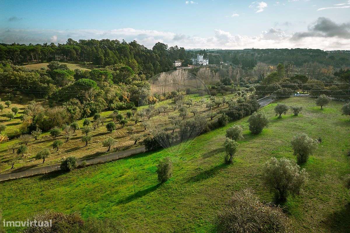 Quinta  para venda - Grande imagem: 4/18