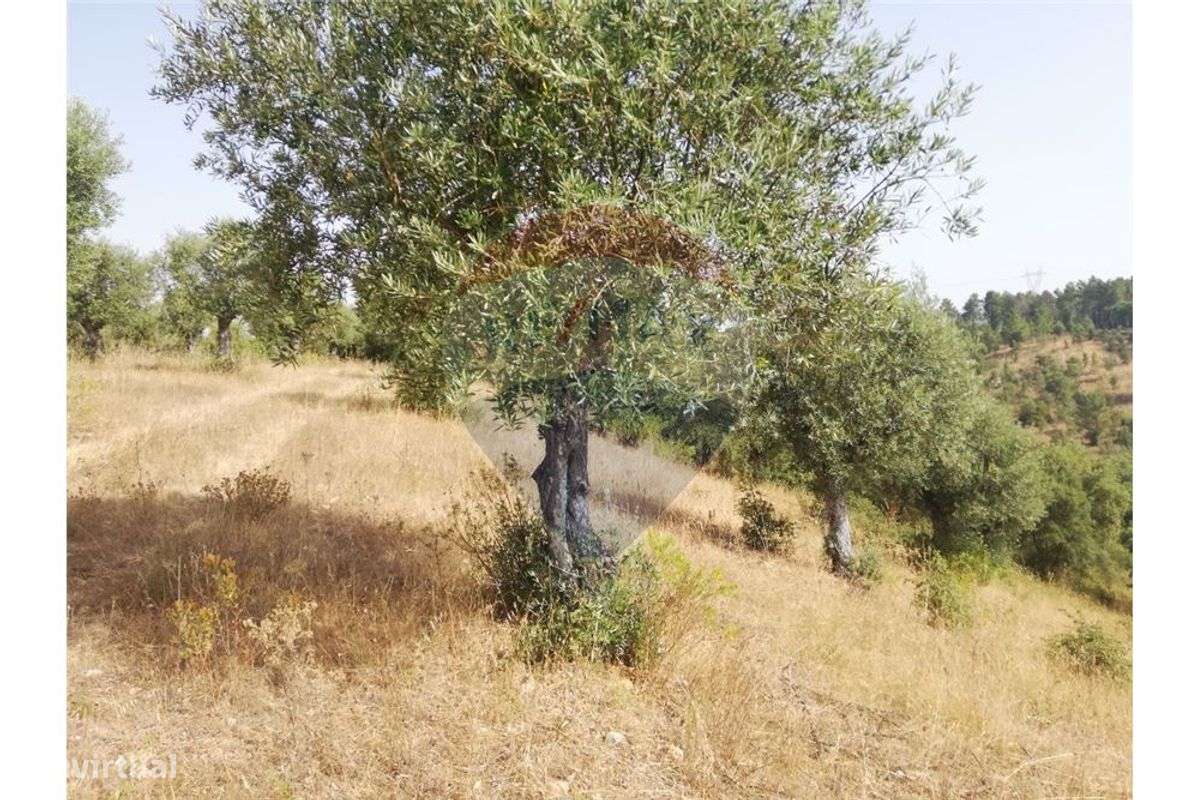 Terreno T0 para venda - Grande imagem: 2/26