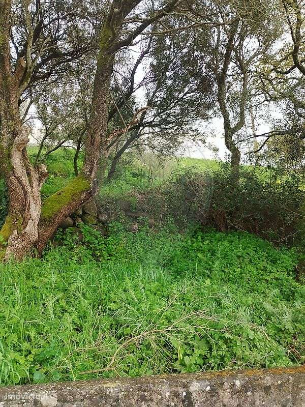 Terreno  para venda - Grande imagem: 3/4