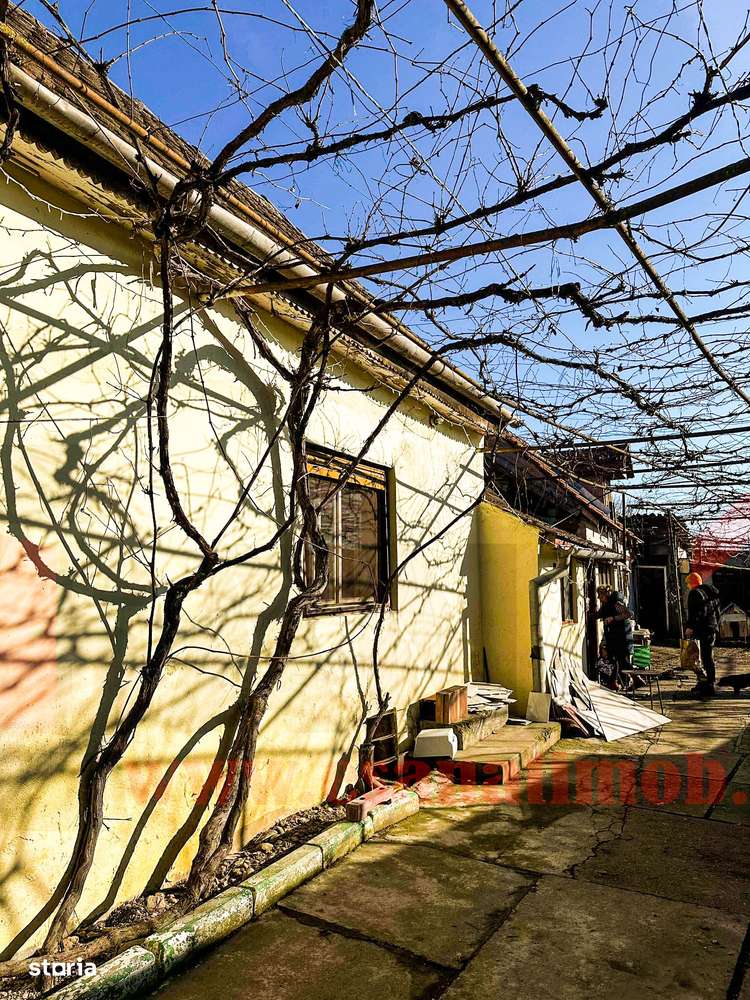 Casa in Bradu | 700 mp Teren | Acces Asfalt | Oportunitate Excelenta-0