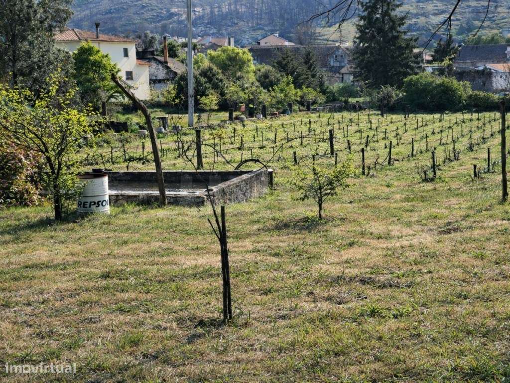 ATIVO TURÍSTICO + QUINTA DE EXCEÇÃO NA BEIRA ALTA-29