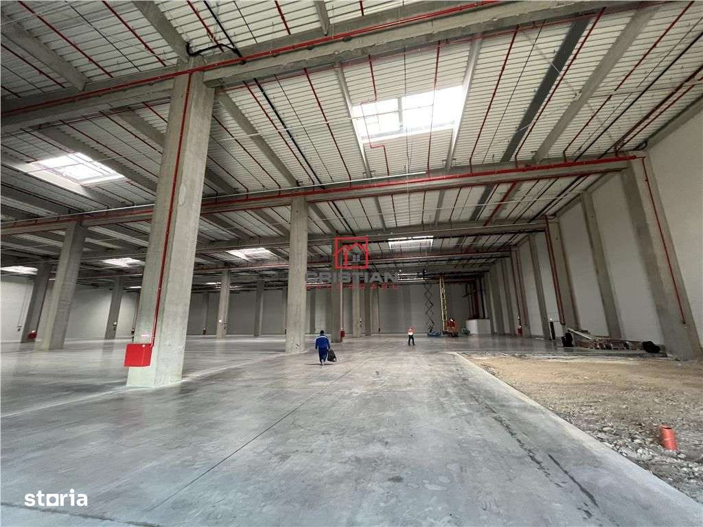 Inchiriere depozit\/hala\/spatiu industrial Stefanesti - Tunari - A3 - Imagine principală: 3/15