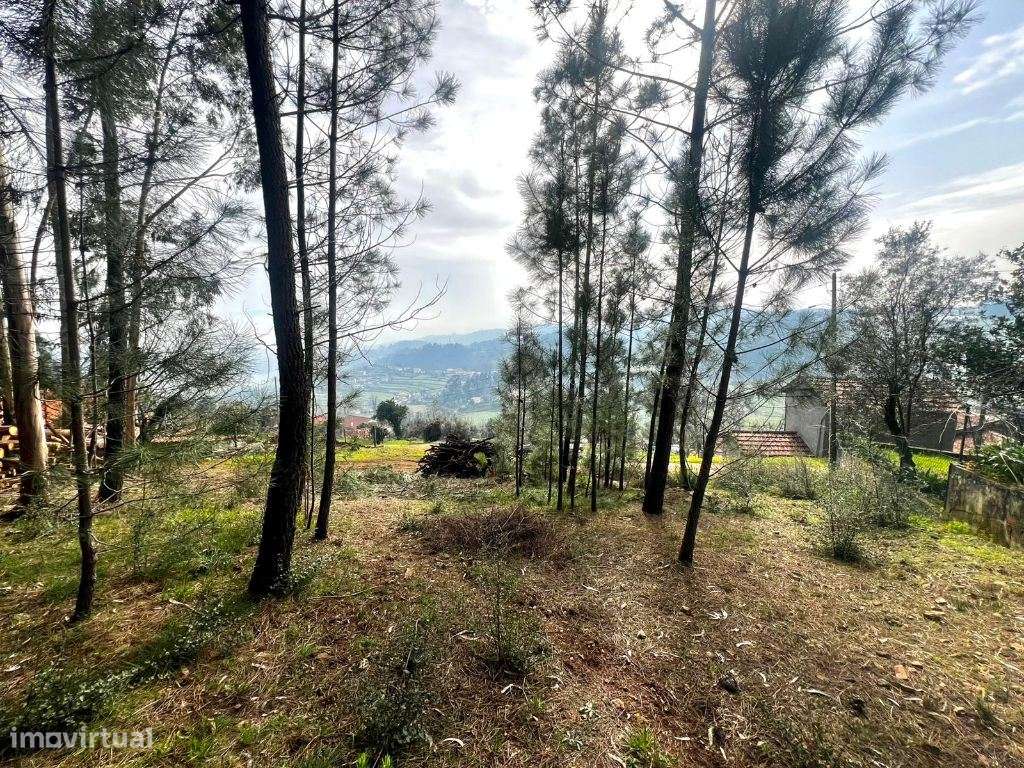 Terreno para construção de moradia com 1300m2 situado em Telões, Am... - Grande imagem: 5/9