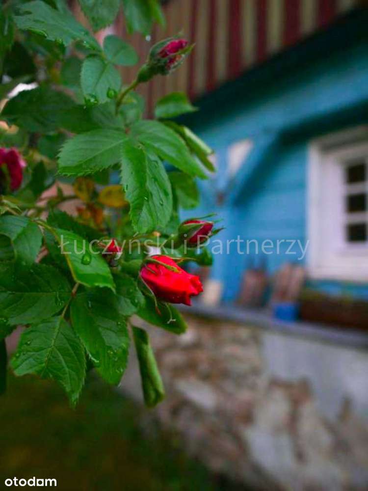 Twoje marzenie na wyciągnięcie ręki...-1