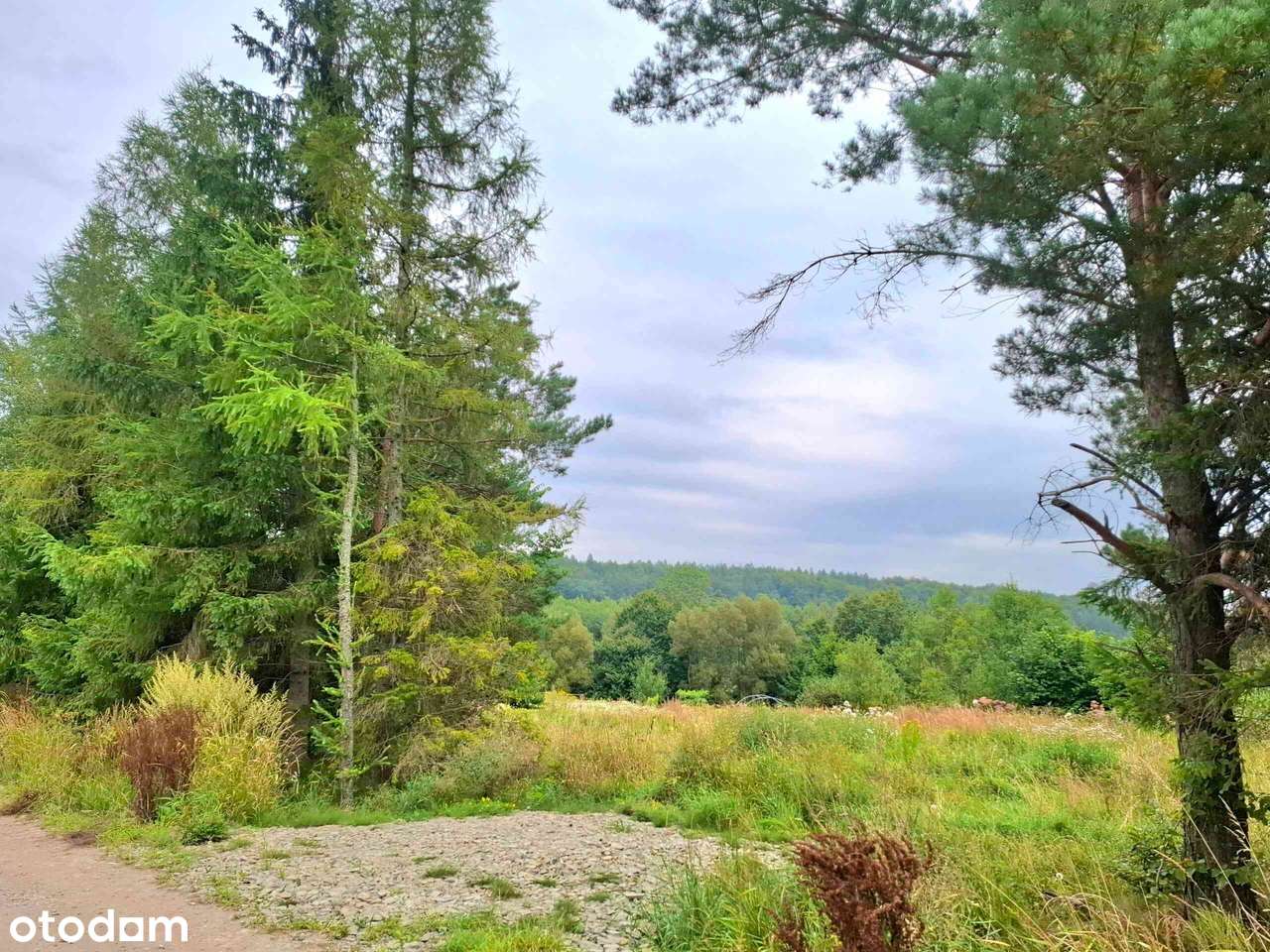 Okazja w Beskidzie Niskim mieszkanie + działka-0