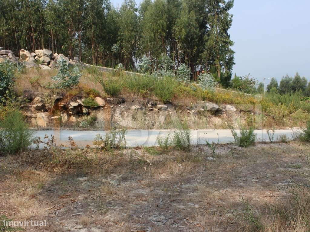 Terreno para construção com 1000m2 - Grande imagem: 5/6