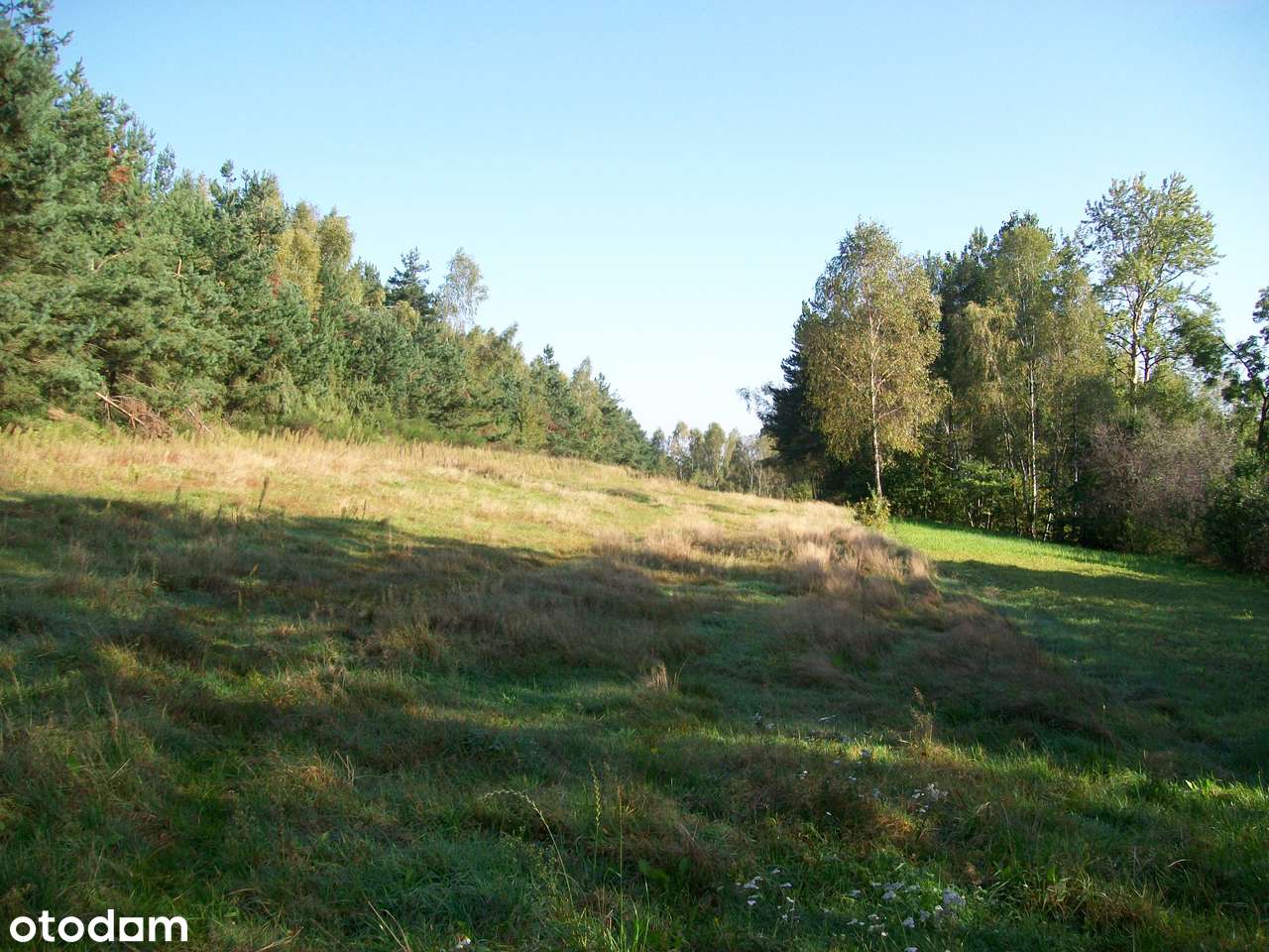 Zrębice gm.Olsztyn 0,375.ha , 1.2ha-4