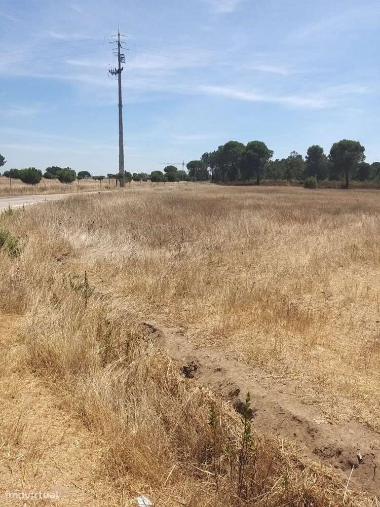 Terreno com 8800m2. Poceirão. - Grande imagem: 2/14