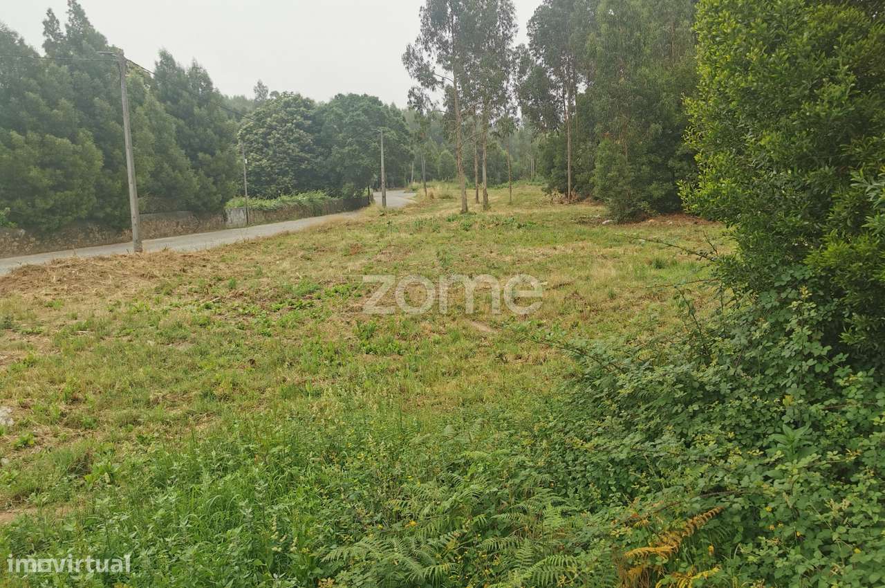Terreno 1,3ha, para loteamento ou construção de escola, Pedroso, Ga... - Grande imagem: 3/42