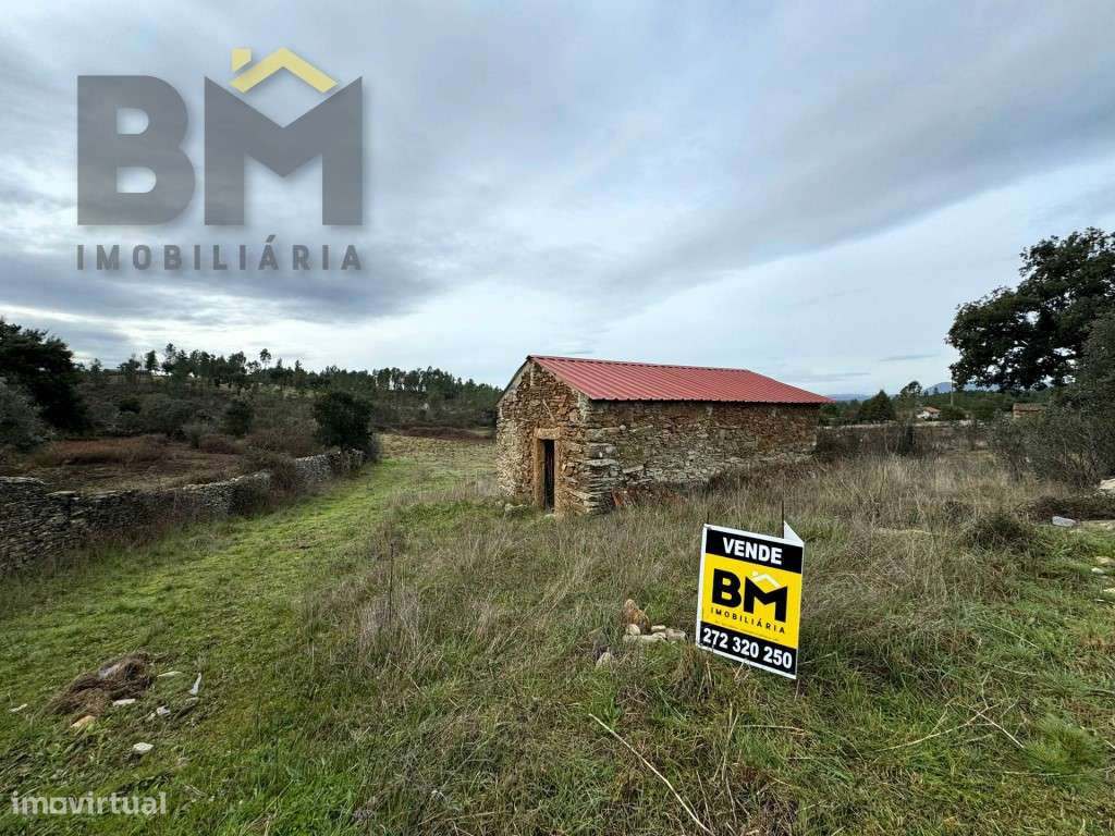 Quinta com 4.920m2 para venda em Salgueiro do Campo! - Grande imagem: 2/11