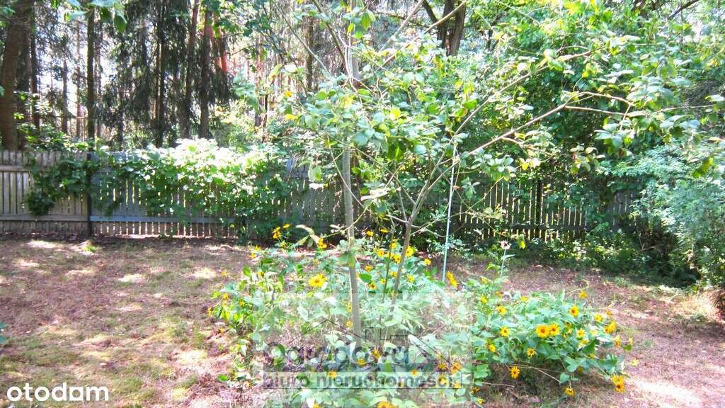 Dom w leśnej okolicy, 6 cio izbowy-15