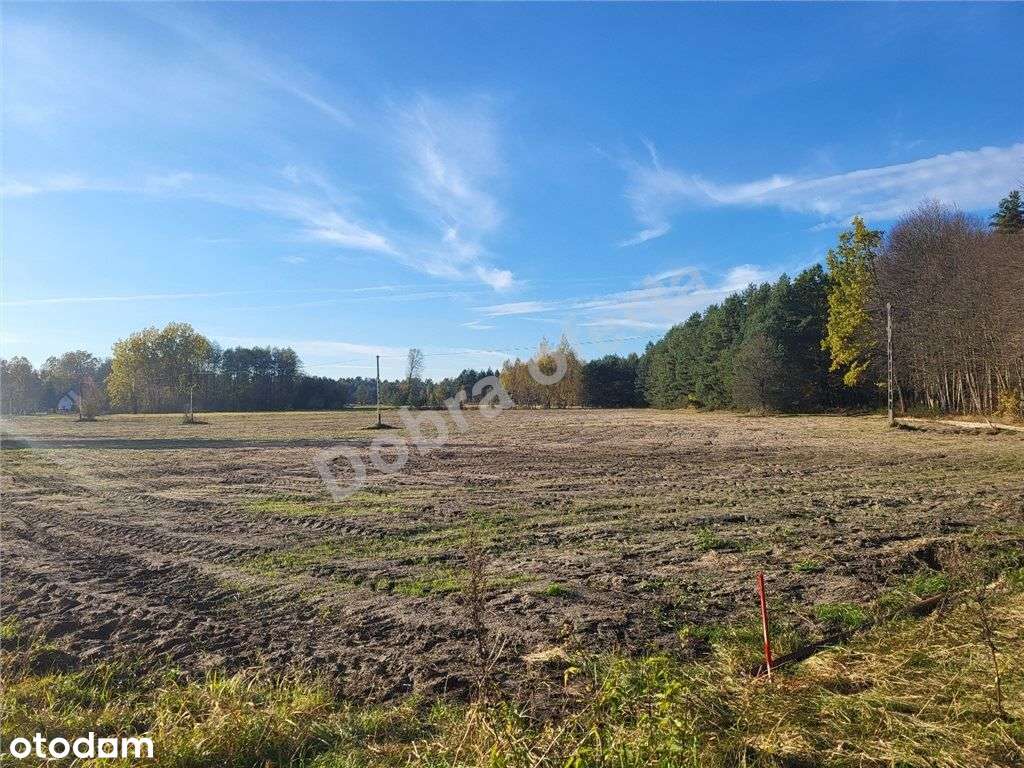 Nowa oferta - działka przy Rezerwacie - Pełny obrazek: 5/14