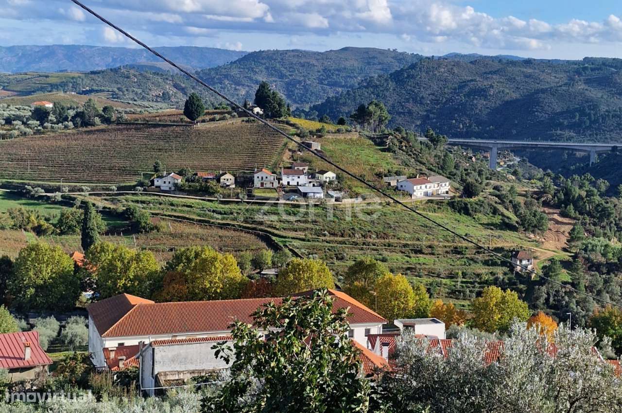 Terreno rustico , lugar do Plames, Murça-6