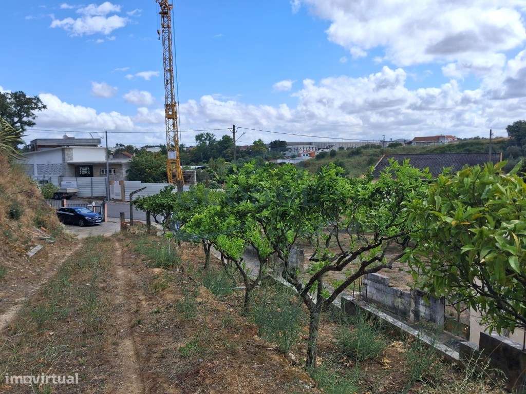 Exclusiva Propriedade em Alcanena | Duas Utilizações Independentes,...-41