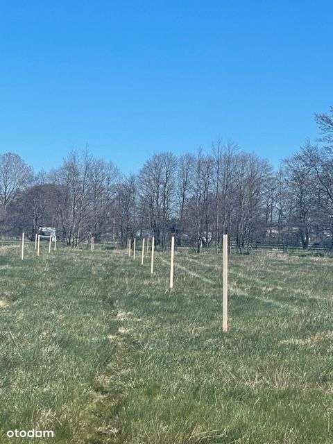 działki nad morzem - Pełny obrazek: 5/6