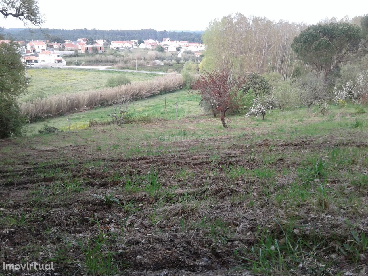 Terreno para Construção