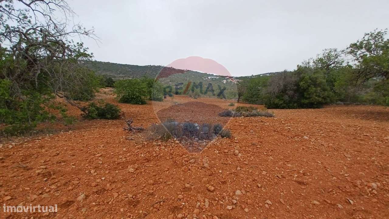 Terreno  para venda - Grande imagem: 3/6