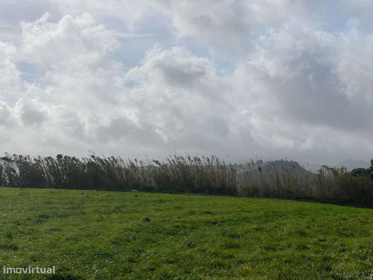 Terreno com vista ao norte de São Miguel, nas Figueiras - Grande imagem: 5/9