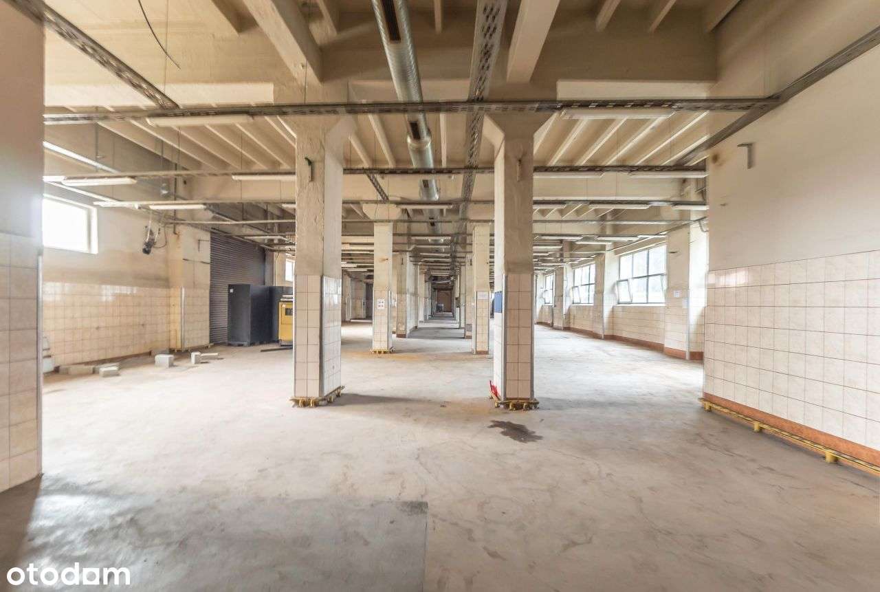 1200 m2 | Produkcja | Magazyn | Warsztat - Pełny obrazek: 5/10