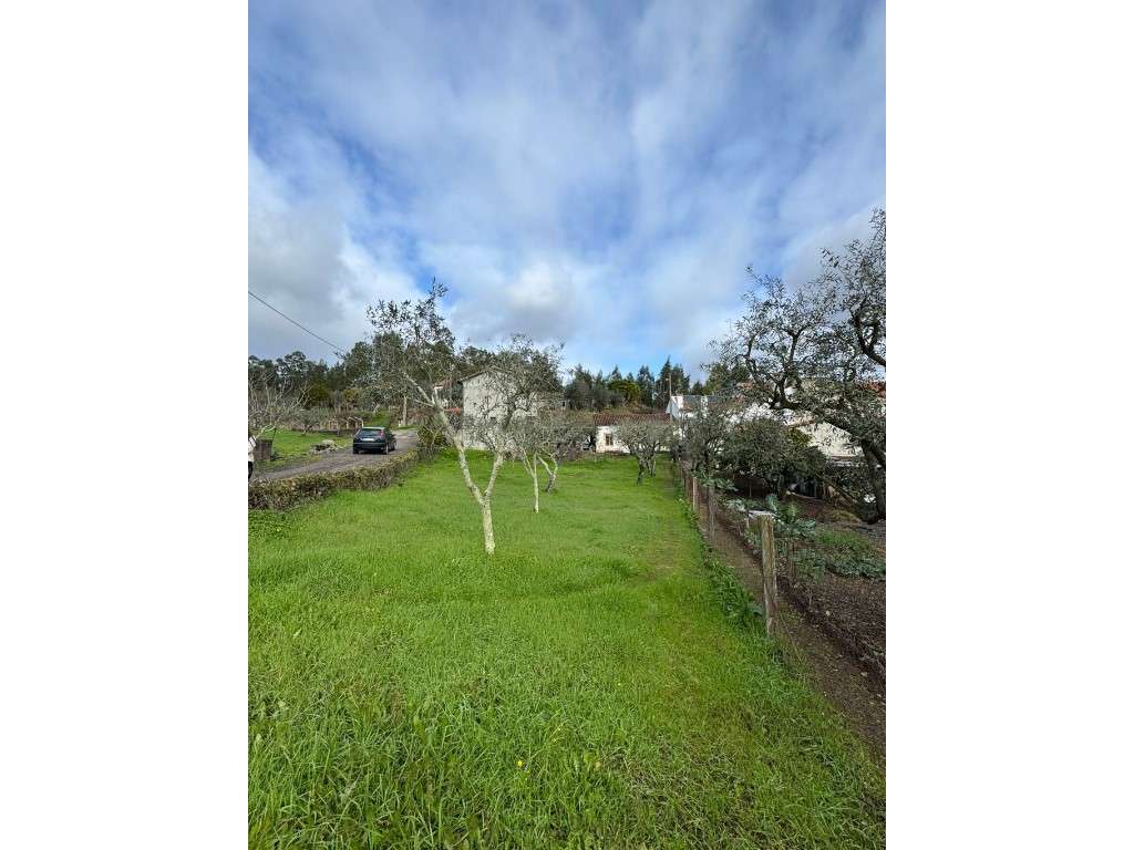 Moradia T2 para Recuperação Total - Pereiro de Mação - Grande imagem: 4/25