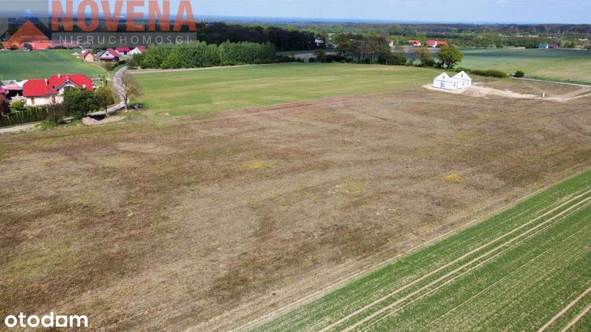 Bagno - 4,5km od stacji Pkp, obok las. - Pełny obrazek: 4/7