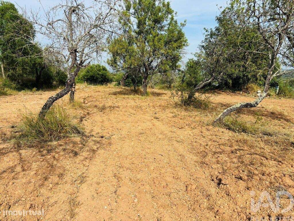 Terreno em Paderne de 1800,00 m2 - Grande imagem: 5/13